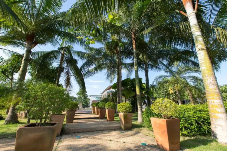 Bandu Resort