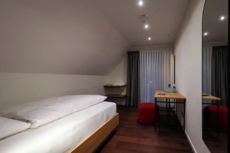 Deluxe Single room