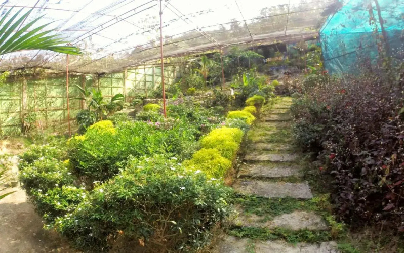 Karimun Butterfly Park