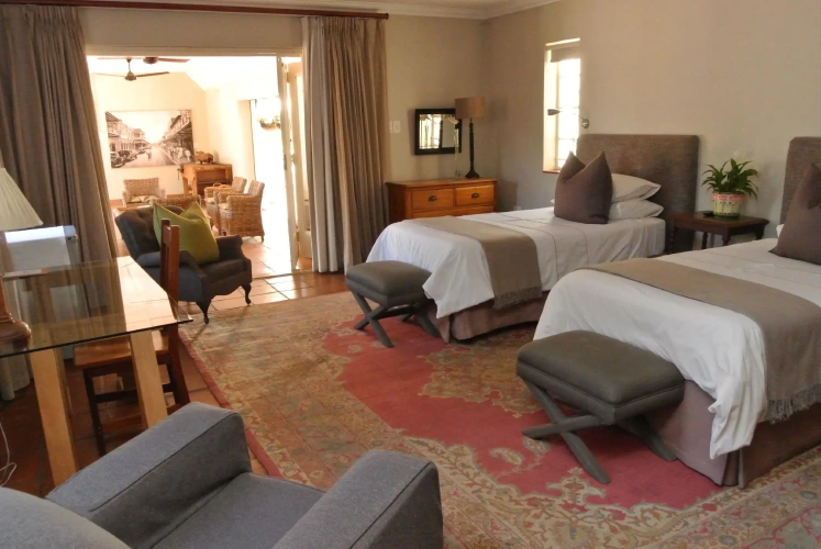 Standard Twin room with view