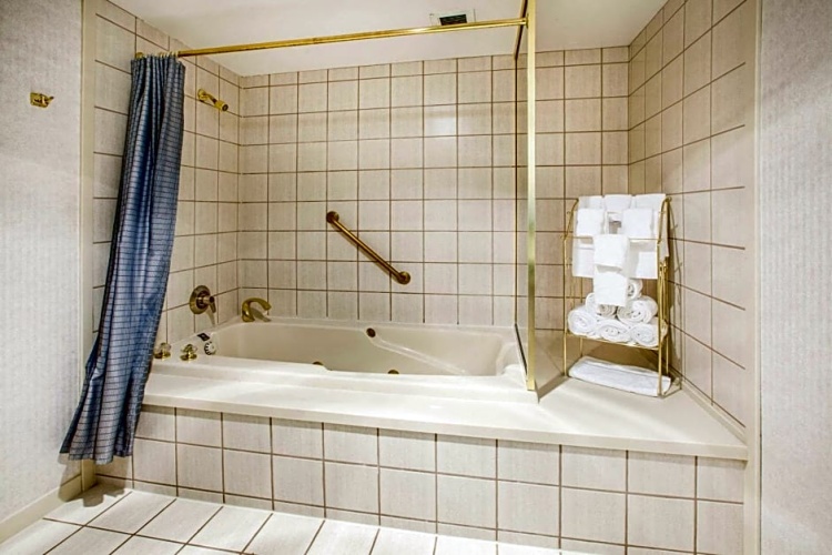 1 Bedroom Suite