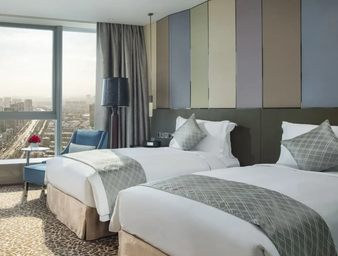 Superior Twin room with city view