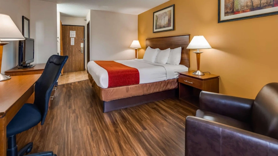 Standard Double Basement room