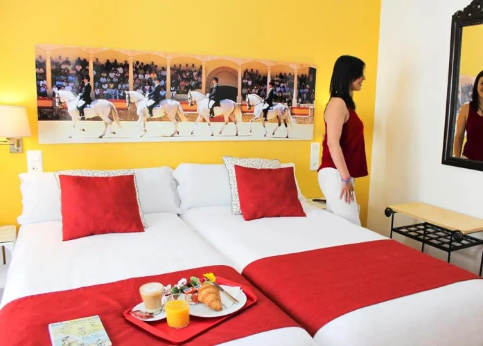 Standard Double room