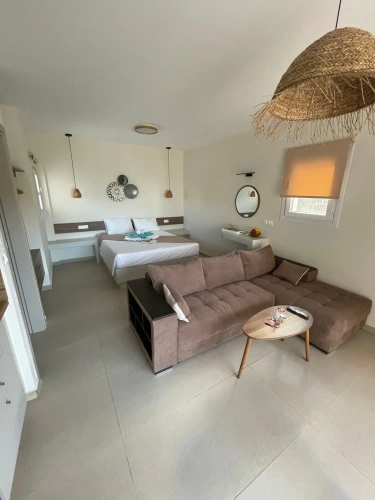 Deluxe Basement Suite