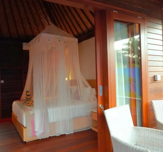 Standard Quadruple Family room with garden view