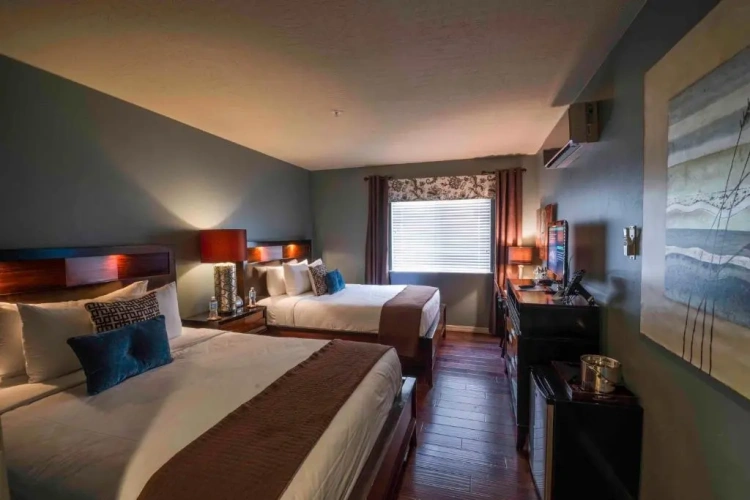 Deluxe Double room