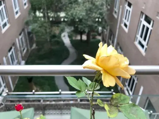 Xincheng Hotel