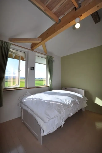 Standard Triple room with view