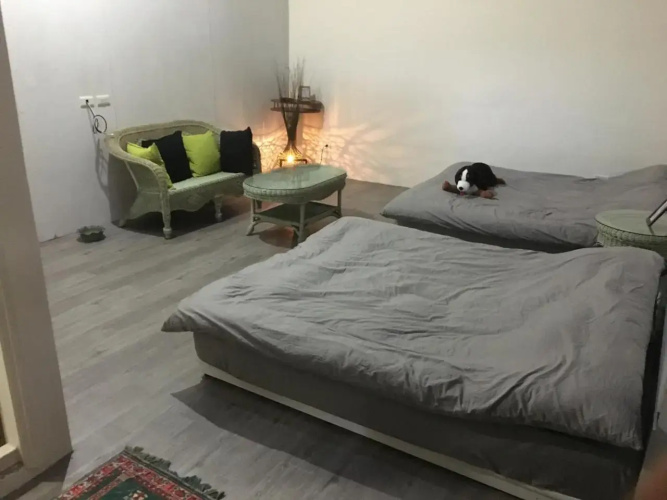 Chen The House