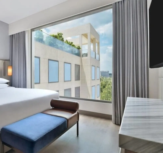 Double Studio with balcony and with city view