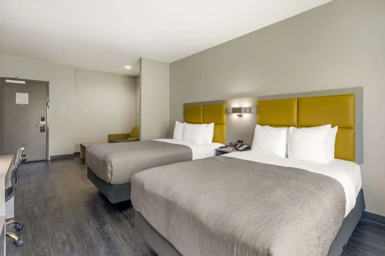 Quadruple Suite