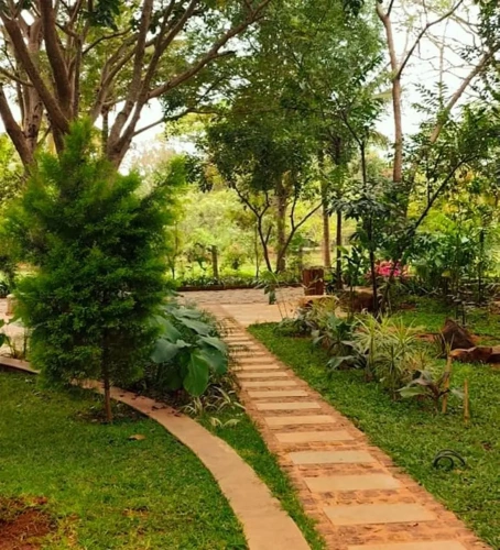 Standard Double room with balcony and with garden view