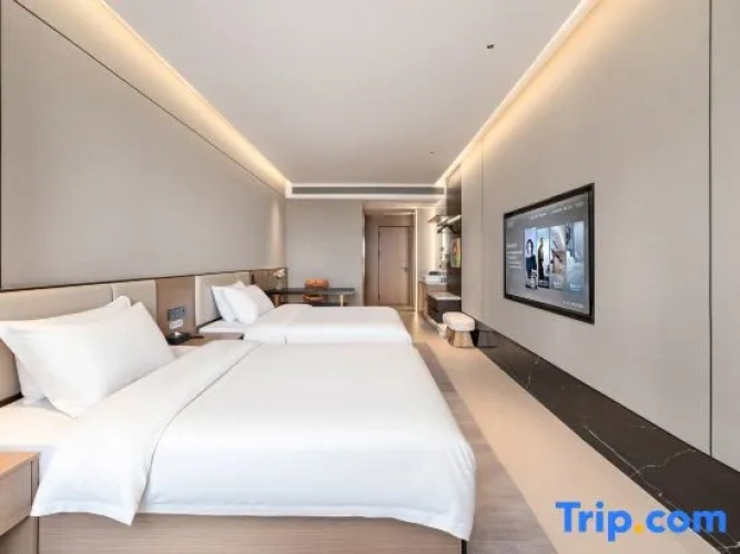Executive Twin room with view