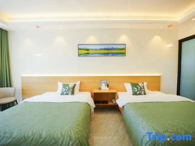 Premium Twin room