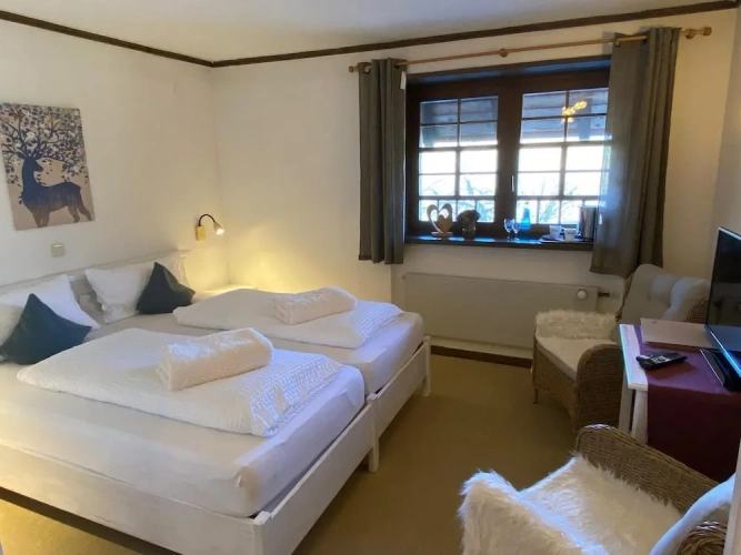 Economy Double room