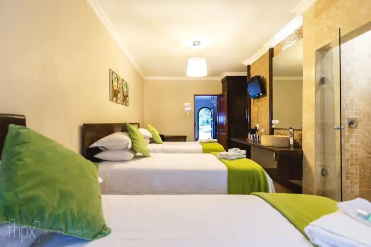 Luxury Single room