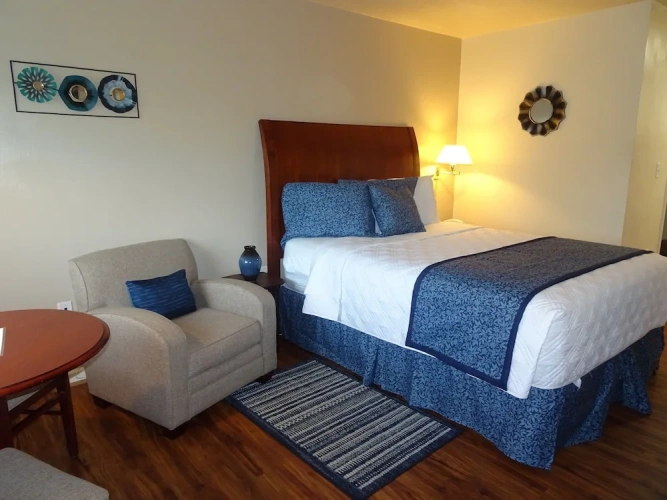 1 Bedroom Suite