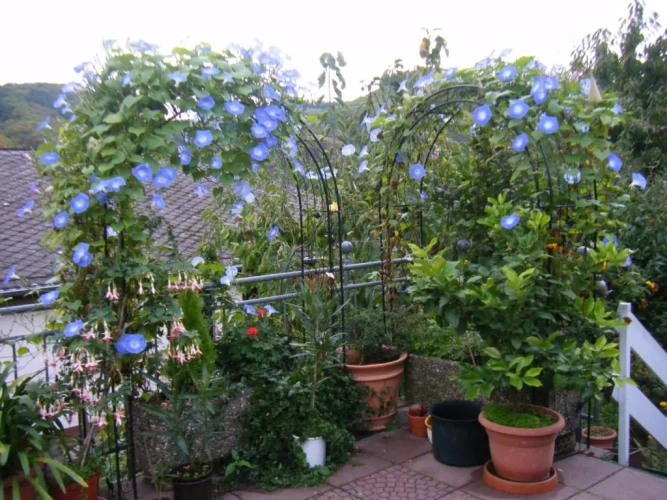 2 Bedrooms Double Apartment