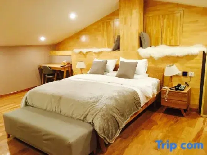 Double Apartment