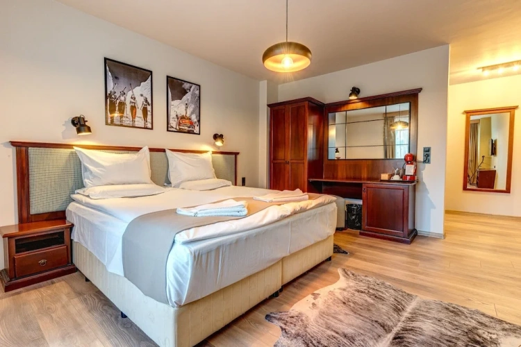 Standard Double room with balcony and with mountain view