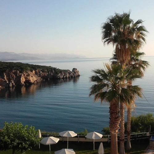 Standard Single room with balcony and with sea view