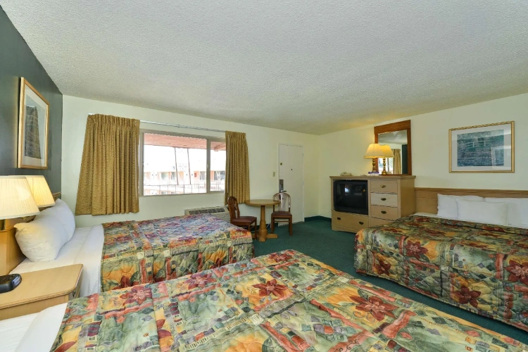 Sextuple Family Suite