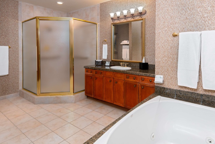 Embassy Suites by Hilton Lincoln photo 9