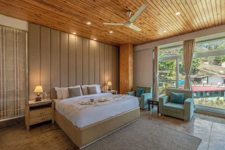 Deluxe Apartment