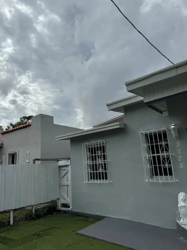 Safari Wynwood