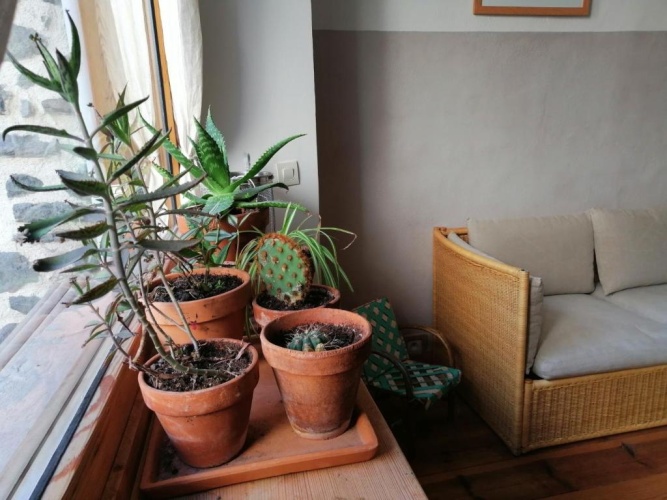 3 Bedrooms Cottage