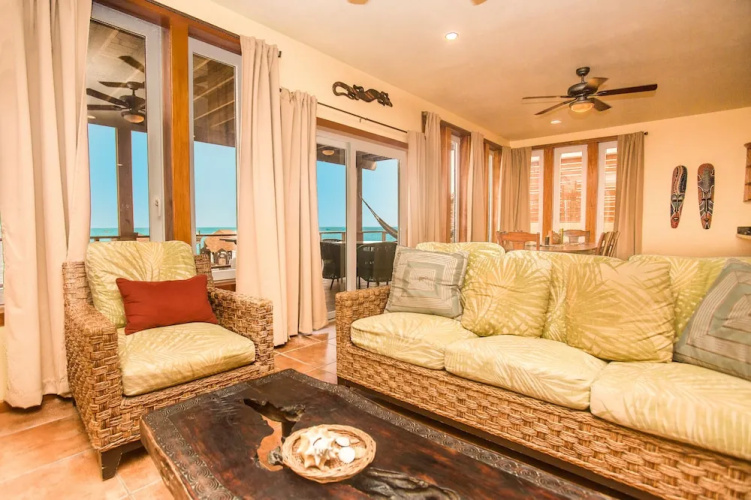 Turtle Casa 6