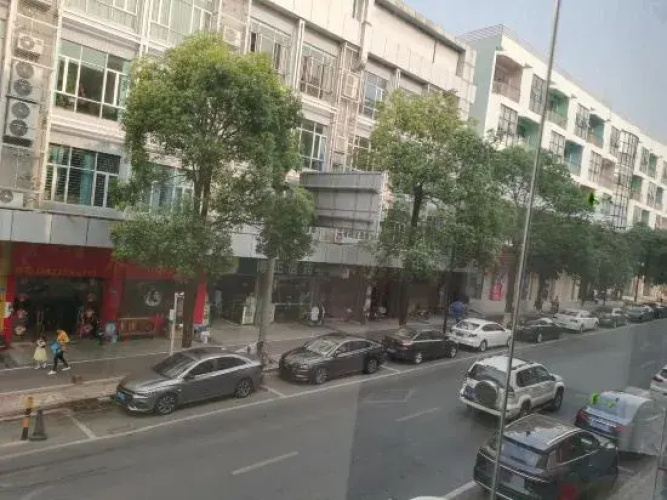 Dongguan Town Inn