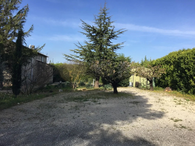 Zocalo Ranch
