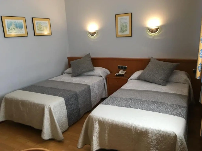 Standard Twin room