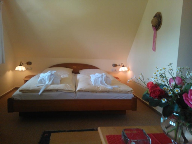 Standard Double room with lake view