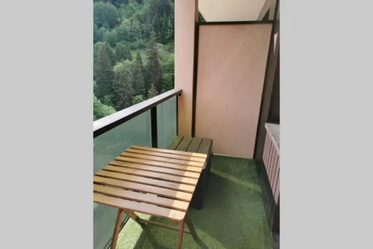 studio vue montagne