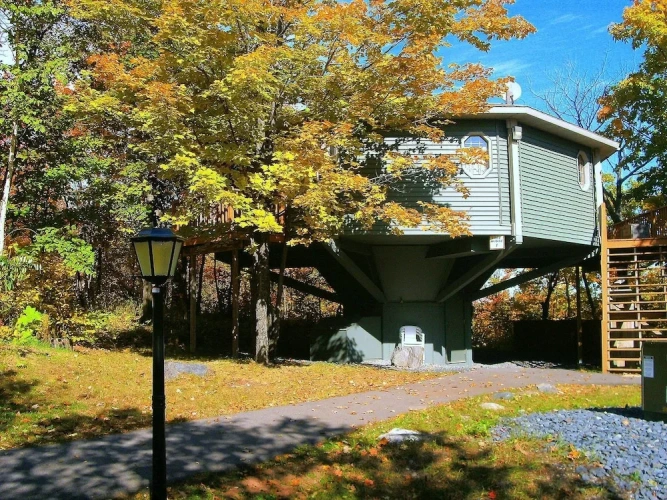 Cottage