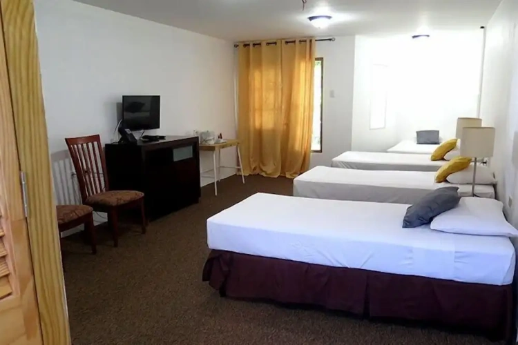 1 Bedroom Standard Quadruple Family room with garden view