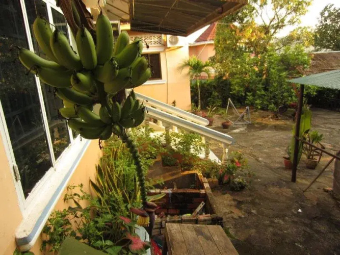 Red Snapper Guesthouse