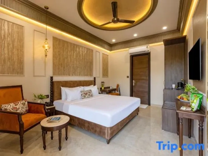 Premium room with city view