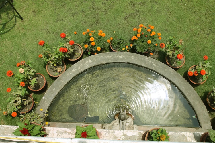 Hotel Mandala