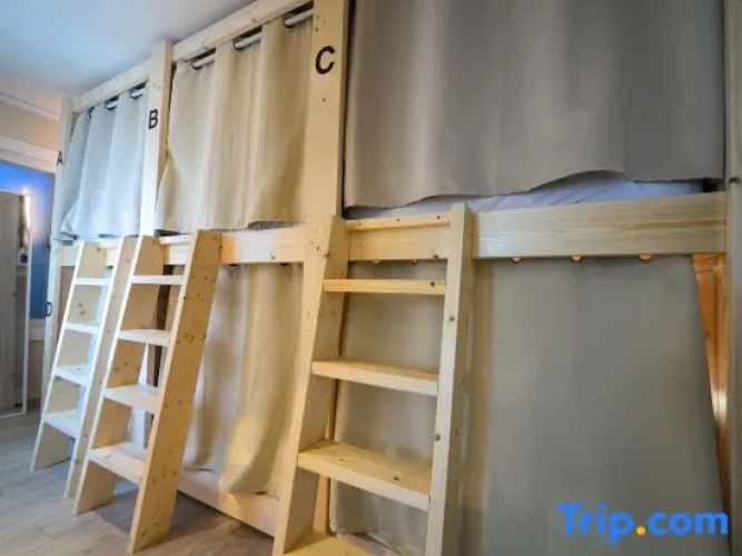 Bed in Dorm