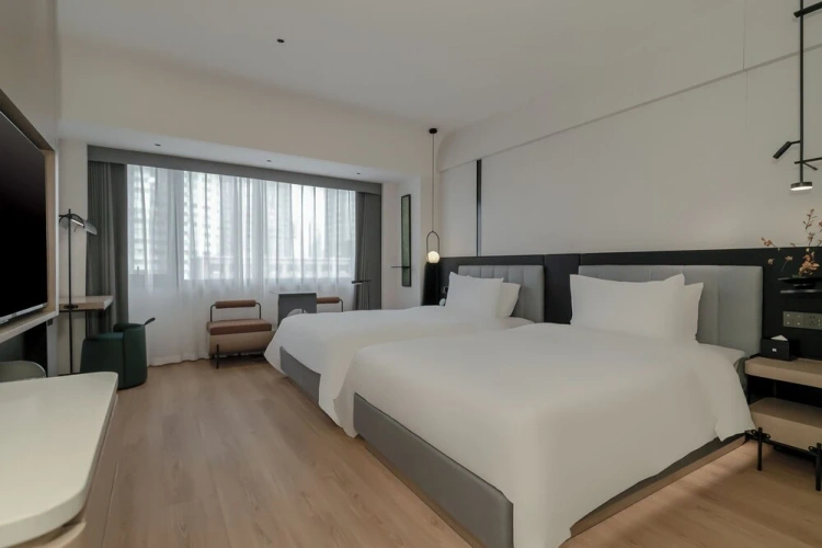 Superior Twin room with city view