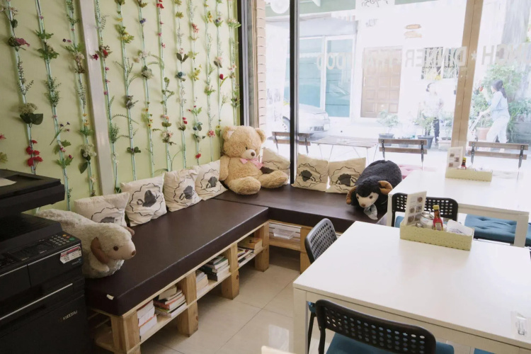 Counting Sheep Hostel