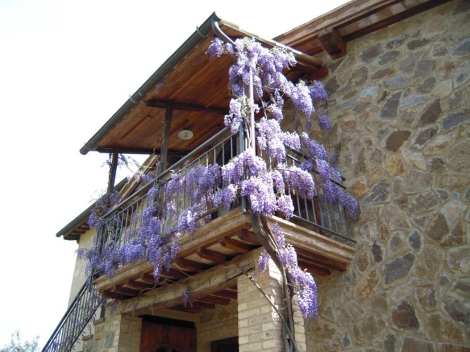 1 Bedroom Cottage with view