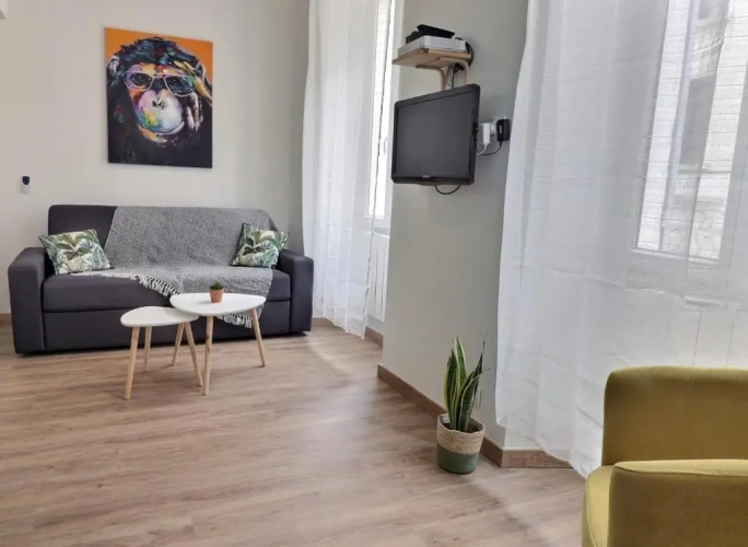 1 Bedroom Apartment