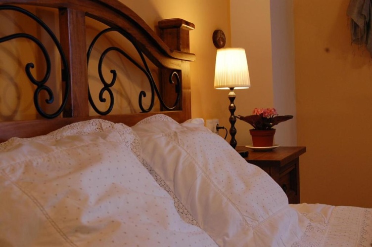 Standard Double room with mountain view