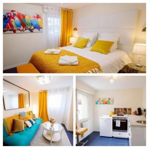 1 Bedroom Apartment