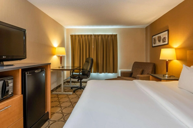 Standard Double Basement room